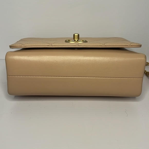 CHANEL Pearl Boy Chain Pink Mini Flap Bag - Picture 6 of 16